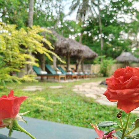 Marari Beach Bungalow Resort Alleppey Mararikulam Kültér fotó