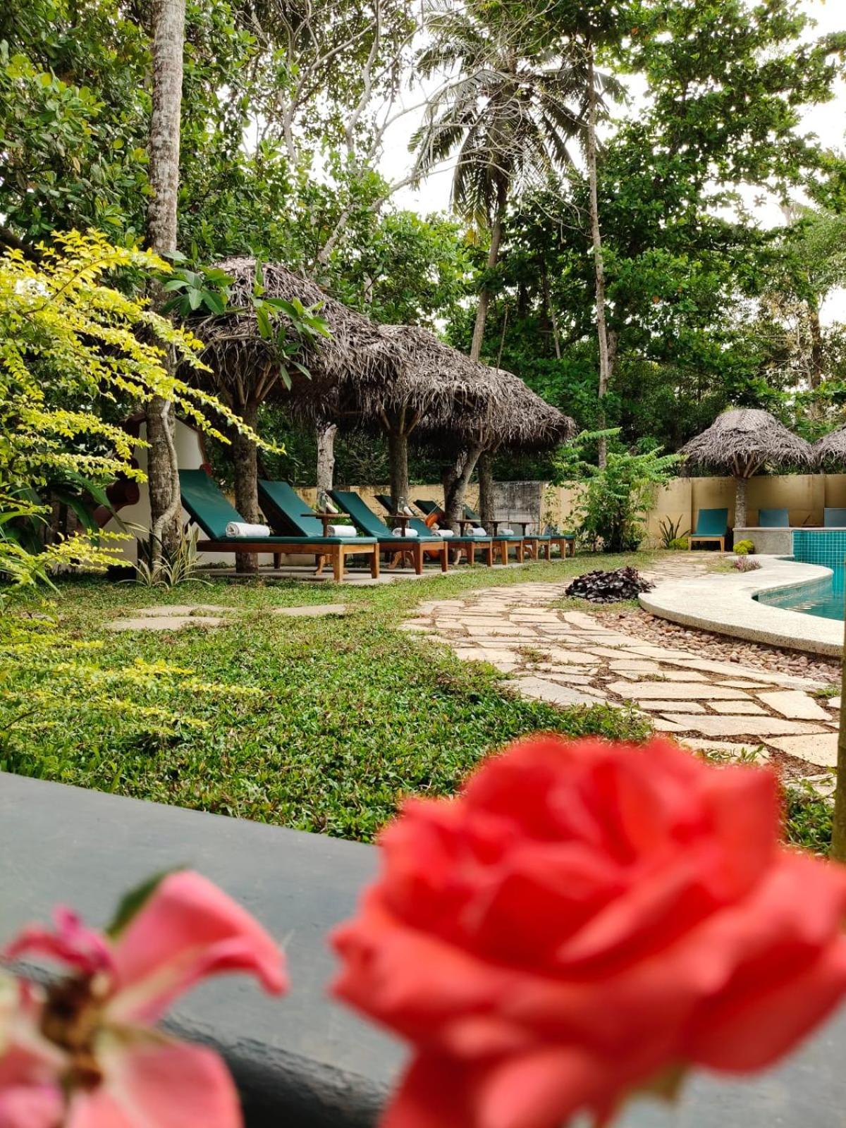 Marari Beach Bungalow Resort Alleppey Mararikulam Kültér fotó