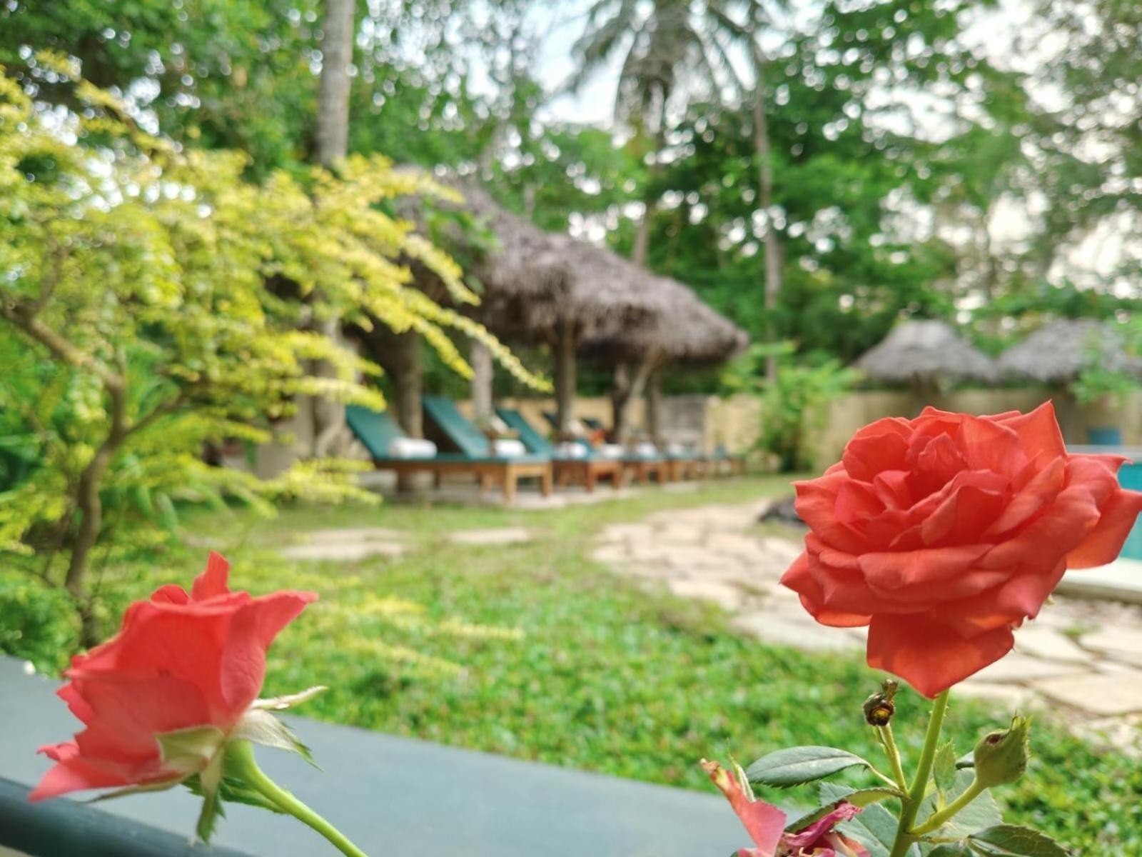 Marari Beach Bungalow Resort Alleppey Mararikulam Kültér fotó
